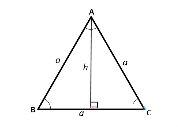 Cách tính đường cao trong tam giác thường, cân, vuông, đều