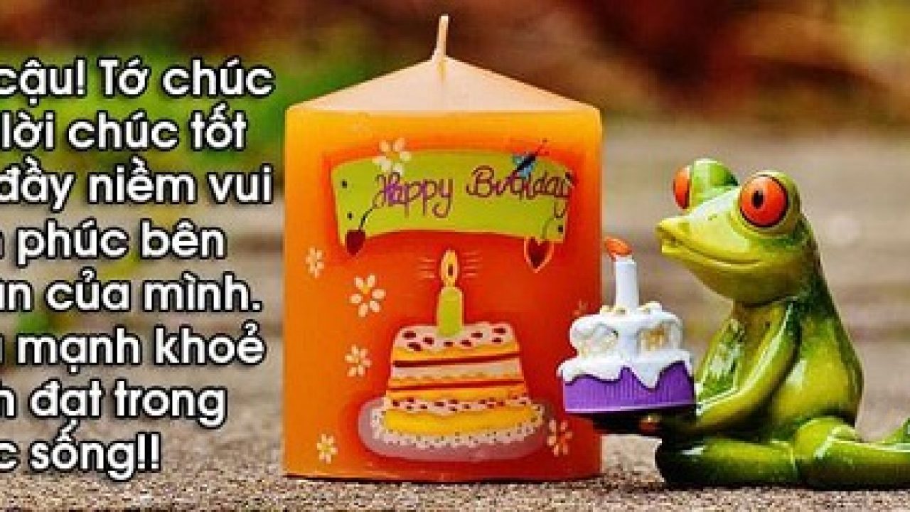 Top lời chúc mừng sinh nhật hài hước và bá đạo đảm bảo không đụng hàng -  Trí Tuệ Việt Nam