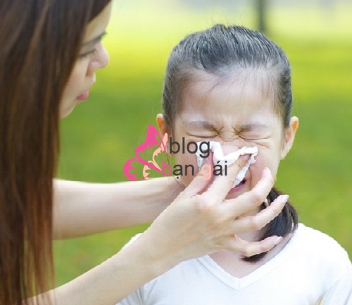 15 mẹo chữa sổ mũi nghẹt mũi cho bé an toàn không dùng thuốc mẹ nên bỏ túi ngay phần 1